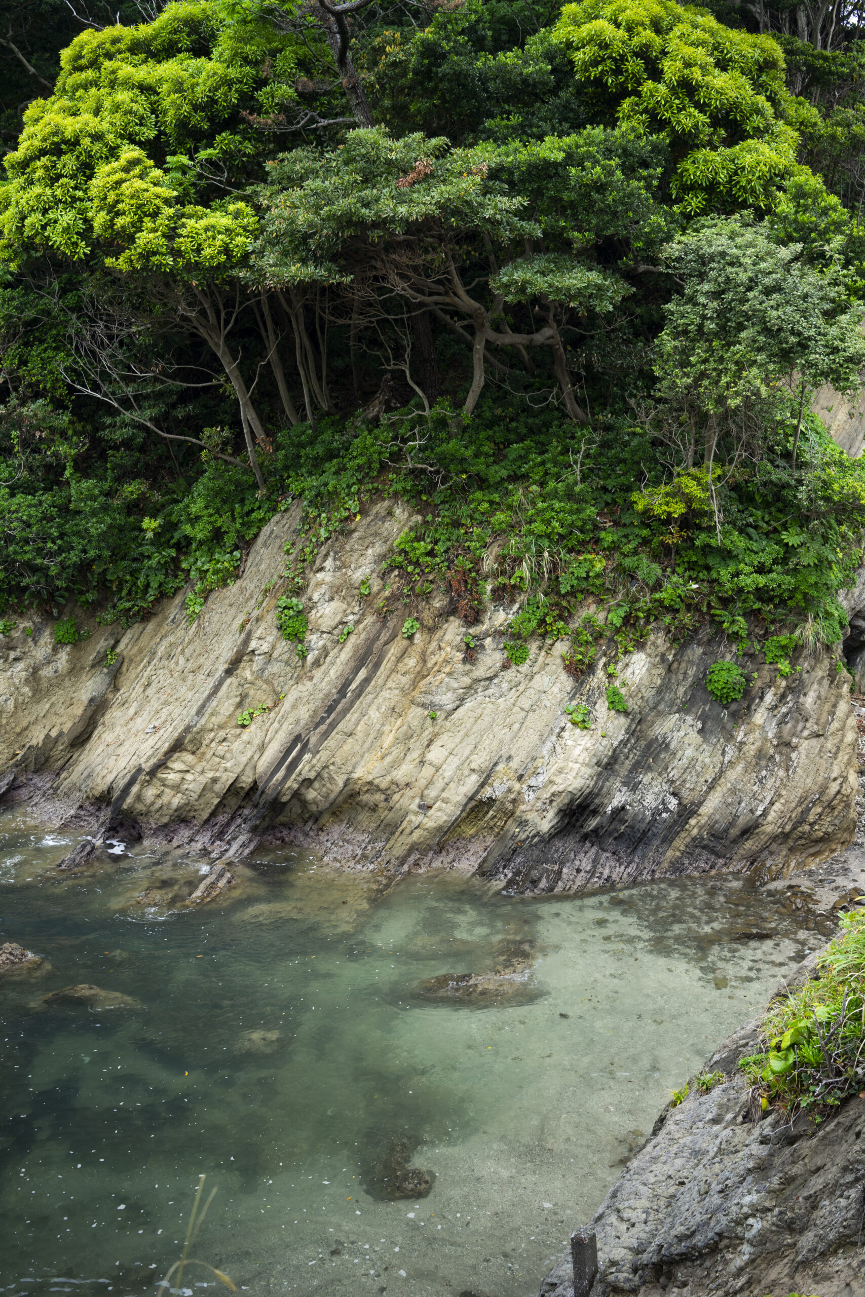 三浦半島荒崎海岸の地層の写真素材 | フォトギャラリー地学舎